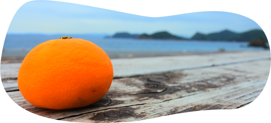 一般社団法人 紀州の環